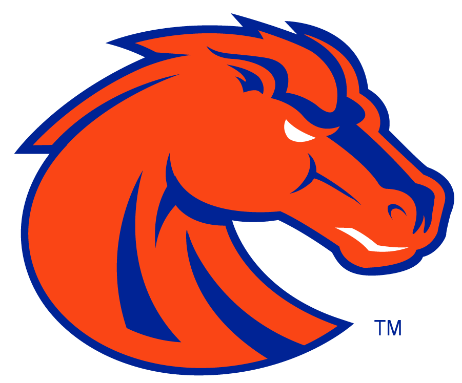 Boise State Broncos 2002-2012 Secondary Logo v3 iron on transfers for clothing